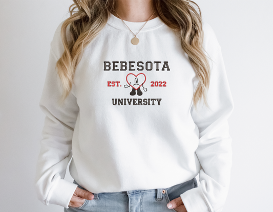 Bebesota University